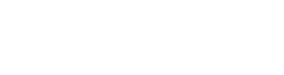 Tampa Bay Wave Logo